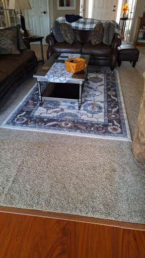 Customer photo for review titled "Lovely and hard working."