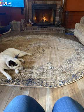 Customer photo for review titled "Love this rug!"