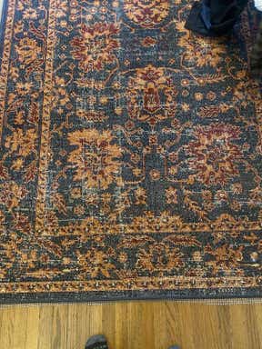 Customer photo for review titled "The rug really tied the room together dude."