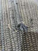 Review photo 3