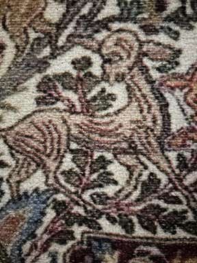 Customer photo for review titled "Weird rug"