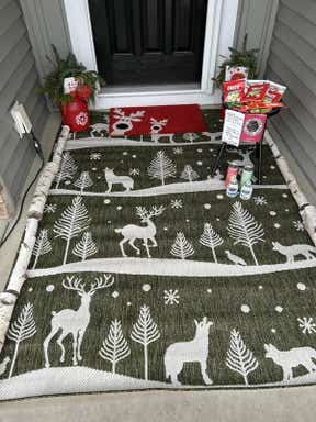 Customer photo for review titled "Santa loves my new rug"