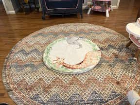 Customer photo for review titled "Fast Shipping Exactly as Pictured…"
