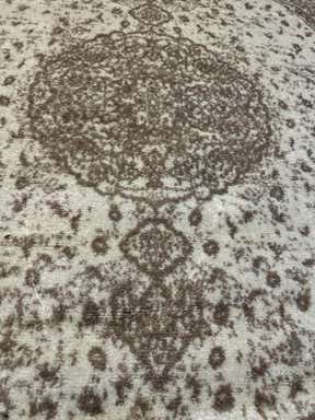 Customer photo for review titled "Overall a good rug!"