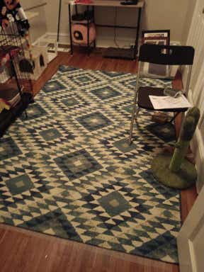 Customer photo for review titled "Great Rug And Price"