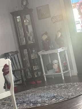Customer photo for review titled "Love texture and so easy to vacuum."