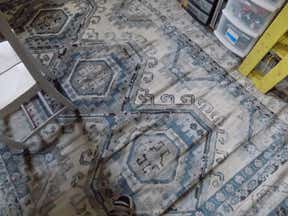 Customer photo for review titled "7 x 10 Charlotte Rug"