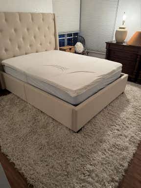 Customer photo for review titled "Beautiful Rug"