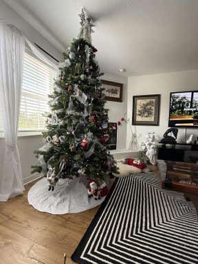 Customer photo for review titled "Great Rugs"