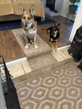 Customer photo for review titled "Great purchase"