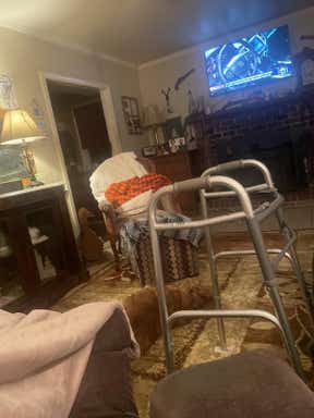 Customer photo for review titled "Rug"