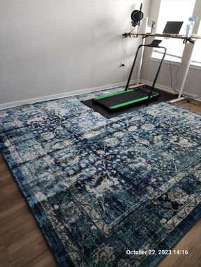 Customer photo for review titled "Perfect rug"