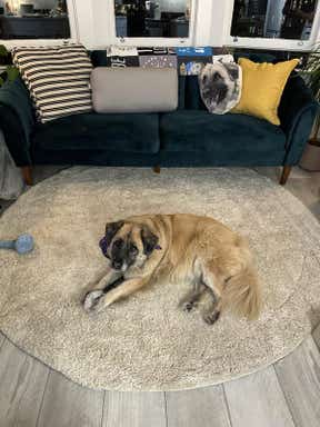Customer photo for review titled "satisfied!"