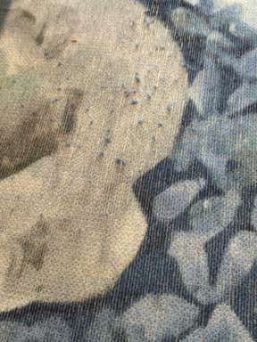Customer photo for review titled "Doesn’t wear well"