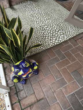 Customer photo for review titled "Beautiful outdoor rug"