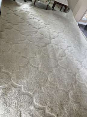Customer photo for review titled "Super Soft and Exactly What We Wanted"