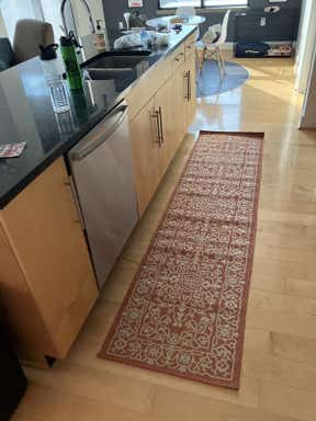 Customer photo for review titled "2' x 8' Outdoor Botanical Runner Indoor / Outdoor"