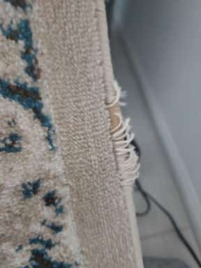 Customer photo for review titled "Nice rug but quality is poor."