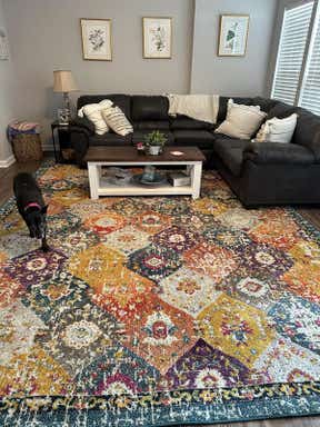 Customer photo for review titled "Colors"