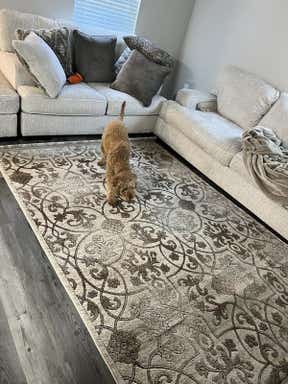 Customer photo for review titled "Highly satisfied customer!!  Will buy more again!!"