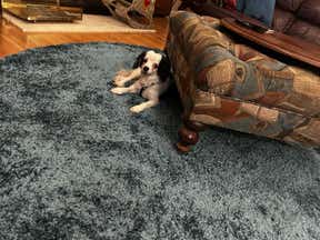 Customer photo for review titled "I didn’t have to cut it fit to size & shape."