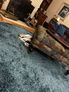Customer photo for review titled "I didn’t have to cut it fit to size & shape."