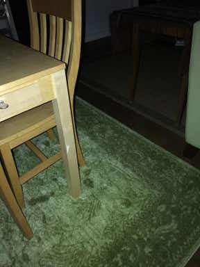 Customer photo for review titled "Beautiful rug. Lovely design subtle color"