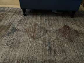 Customer photo for review titled "Exceeded my expectations!"