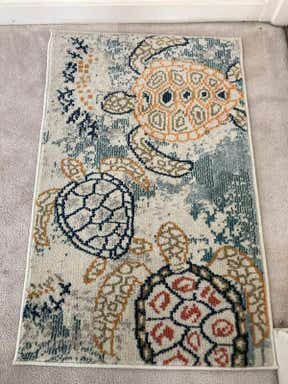 Customer photo for review titled "Small rug less colorful"