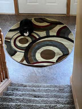Customer photo for review titled "Love it!!"