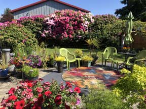 Customer photo for review titled "Bright and beautiful!"