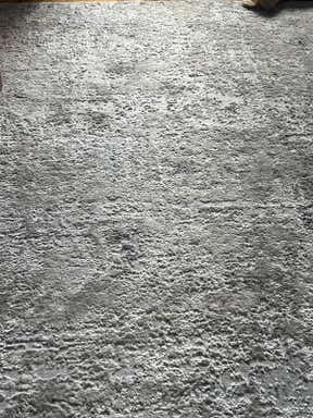 Customer photo for review titled "Nice grey are rug"