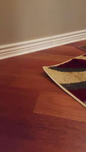 Customer photo for review titled "Curly rug"