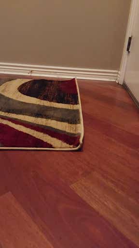 Customer photo for review titled "Curly rug"