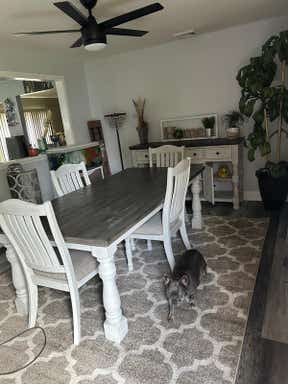 Customer photo for review titled "Beautiful rug for the price"