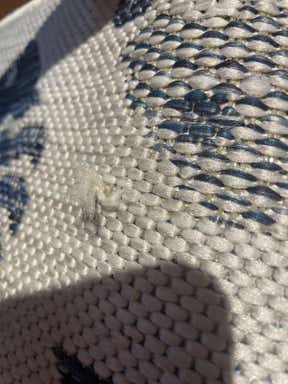 Customer photo for review titled "Coastal runner"