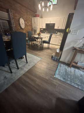Customer photo for review titled "Dog ate the rug!  Rugs.com saved the day."