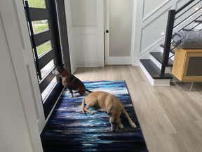 Customer photo for review titled "Adds a touch of class to a modern room"