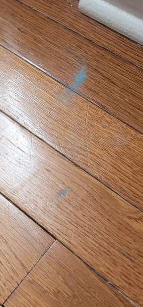 Customer photo for review titled "My one star review was removed!"