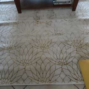 Customer photo for review titled "Beautiful soft glamorous rug"