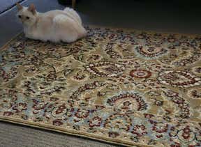 Customer photo for review titled "Definitely buy it!"