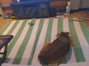 Customer photo for review titled "-"