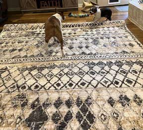 Customer photo for review titled "So happy I found this rug"