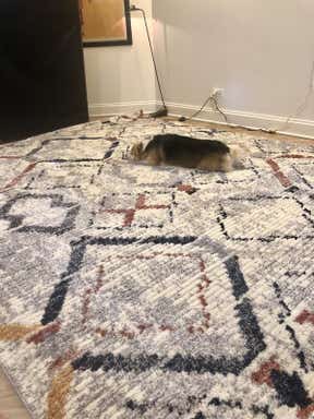 Customer photo for review titled "Really beautiful"