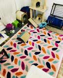 Review photo 1