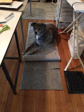 Customer photo for review titled "Exactly what I wanted!"