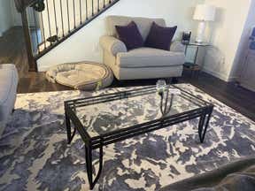 Customer photo for review titled "Love this rug"