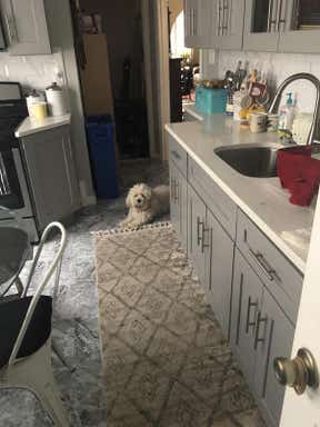 Customer photo for review titled "Nice rug"