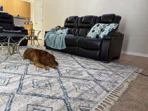 Customer photo for review titled "Beautiful rug"