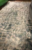Review photo 1